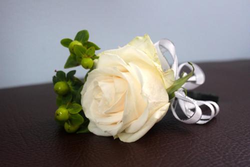 Single cream vendela rose with green hypericum berries